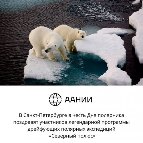 В Санкт-Петербурге в честь Дня полярника поздравят участников легендарной программы дрейфующих полярных экспедиций «Северный полюс»