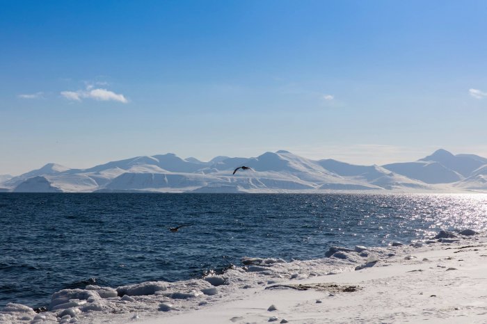 Прогностические оценки климатических изменений в Арктике на основе комбинированного сценария